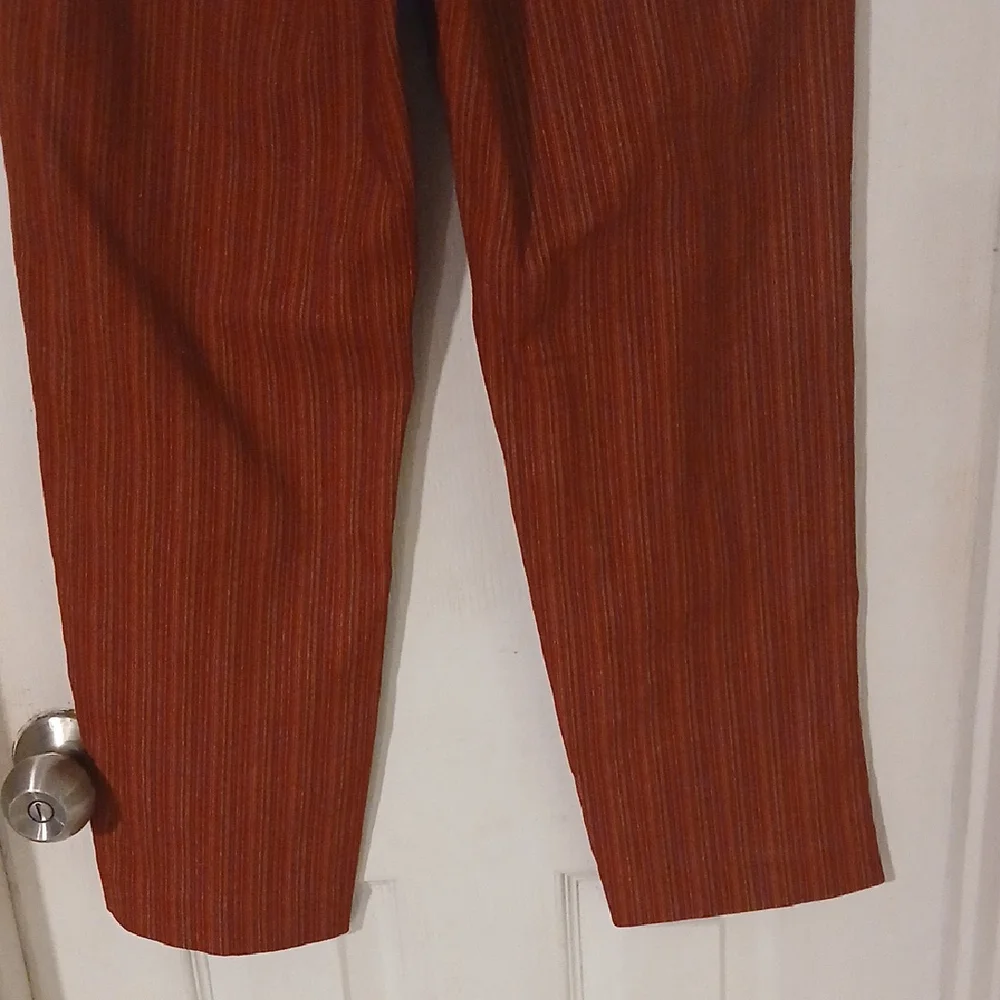 New York and Company Men's Brown Striped Pants